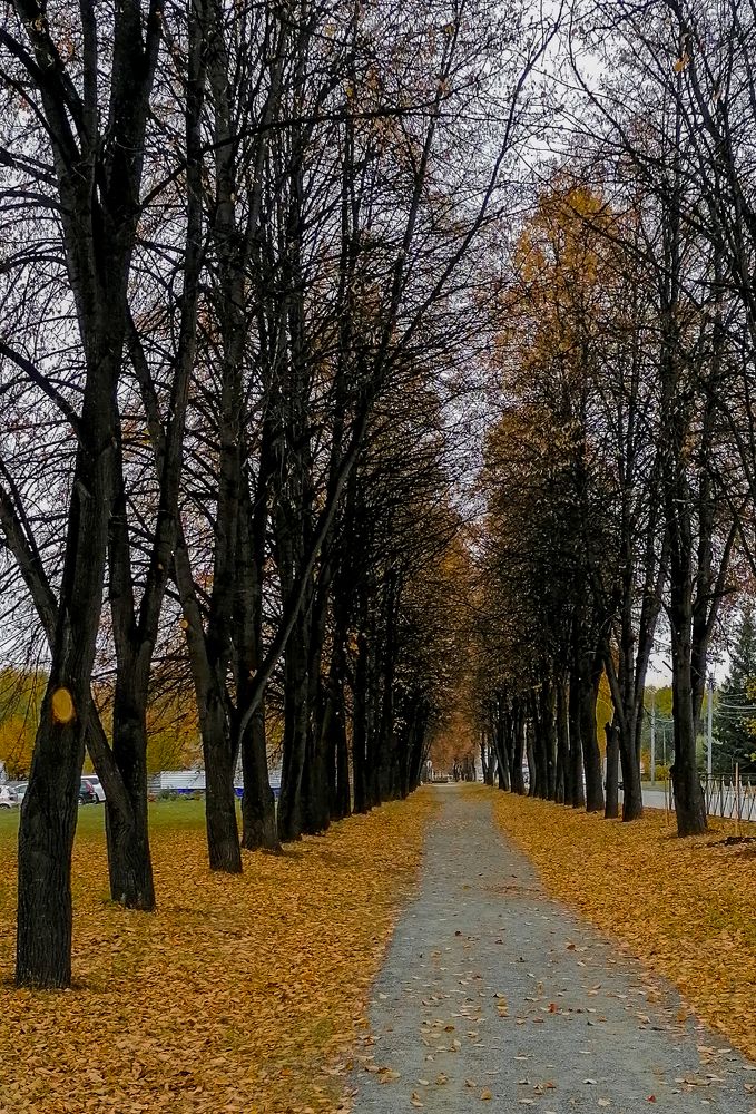 Photograph by Елена Швецова