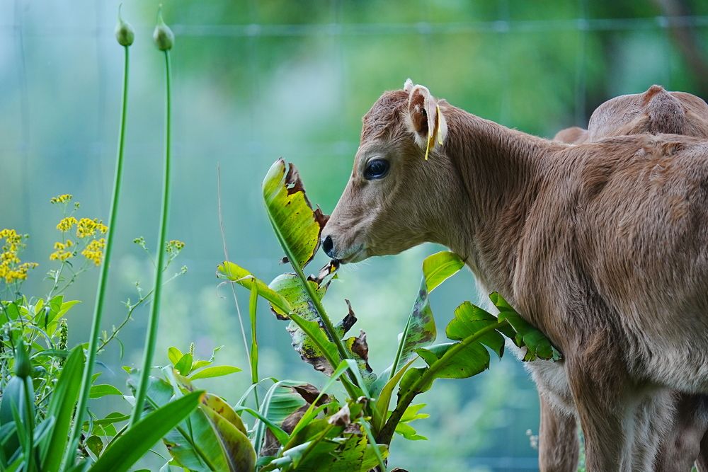 Photograph by Andrew Becker