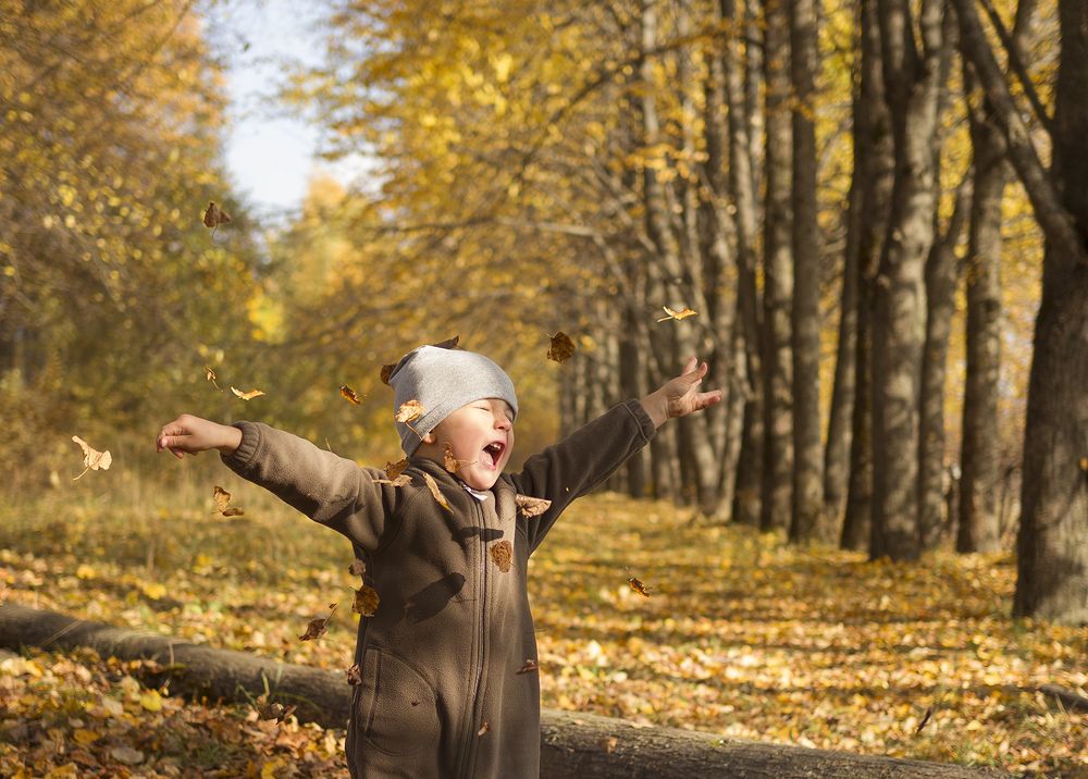 Фотография автора Polina Sobolnikova
