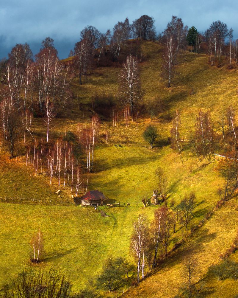 Photograph by Ana-Maria Tatarus