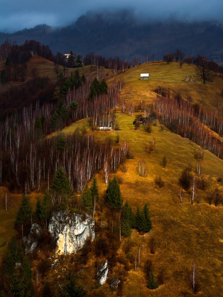 Photograph by Ana-Maria Tatarus