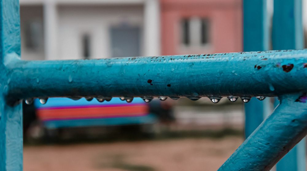 Photograph by Анастасия Родионова