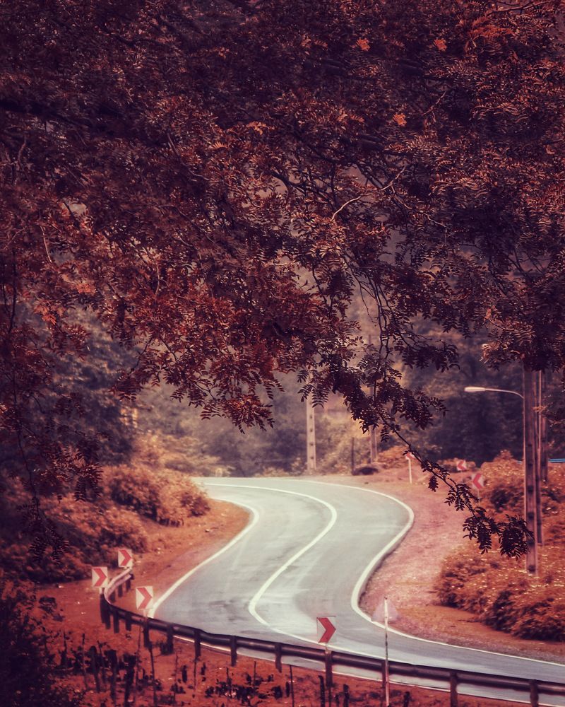 Photograph by 