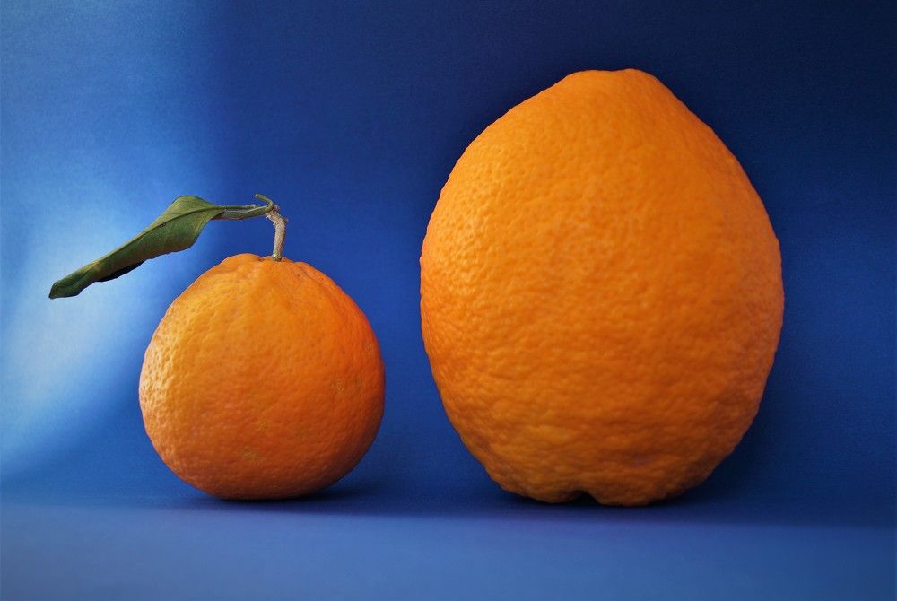 Photograph by Chrysanthopoulos Carmen Sorina