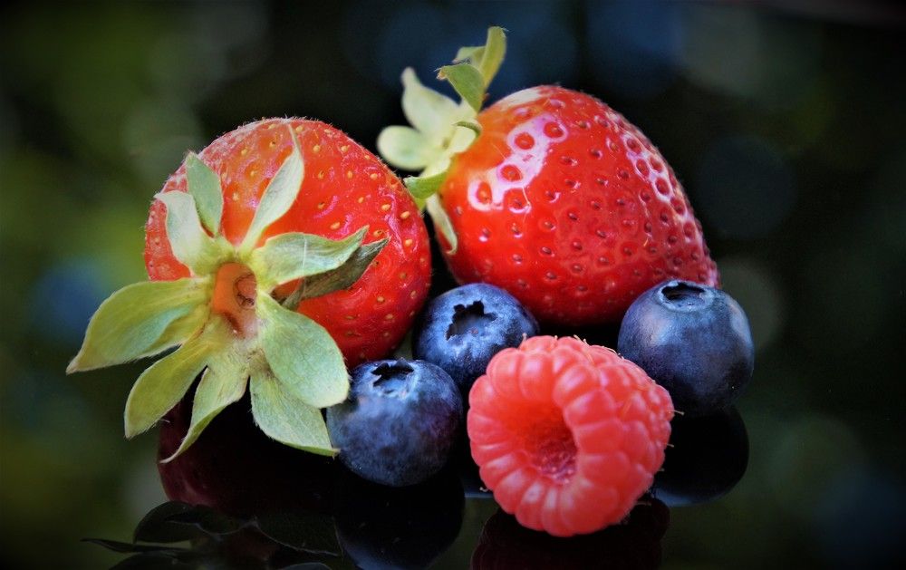 Photograph by Chrysanthopoulos Carmen Sorina