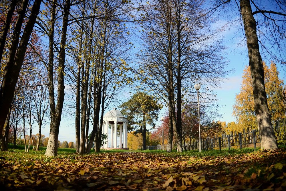 Photograph by Александр Беляков