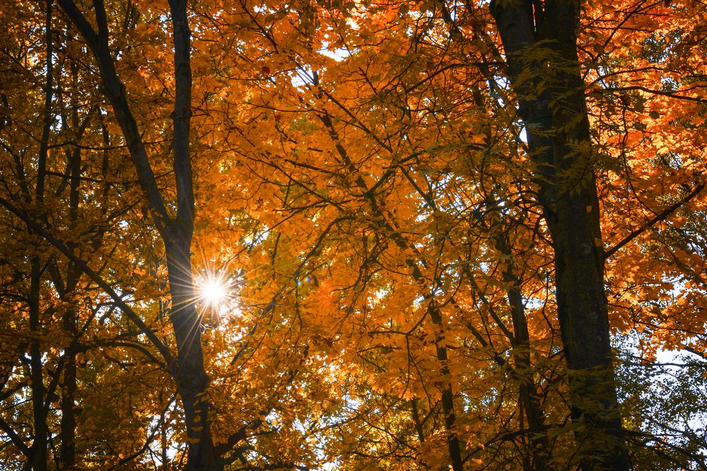 Photograph by Александр Беляков