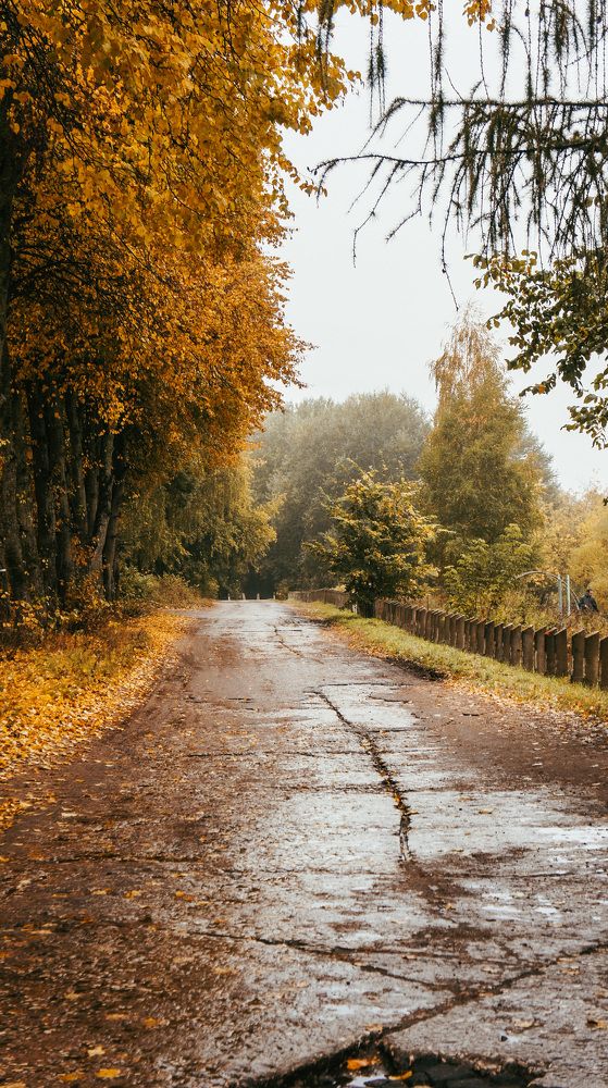 Photograph by Анастасия Родионова