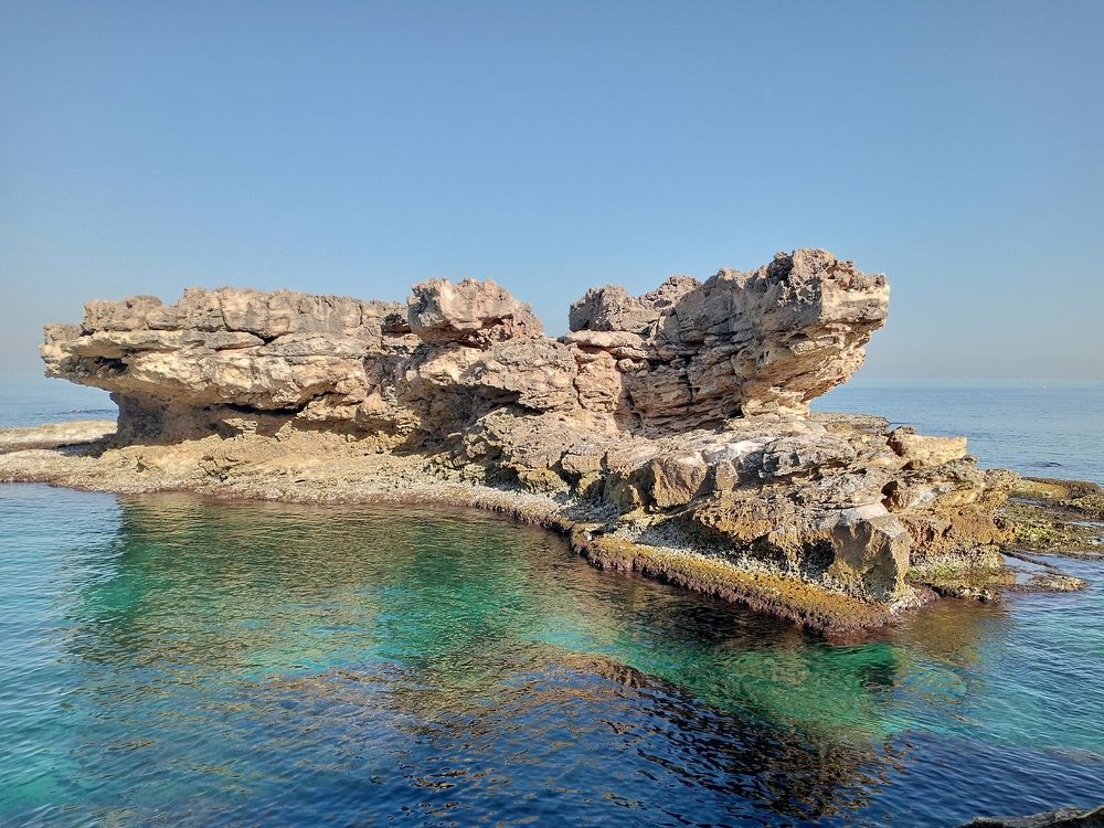 Photograph by Layal Farah