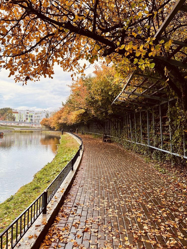 Золотой октябрь