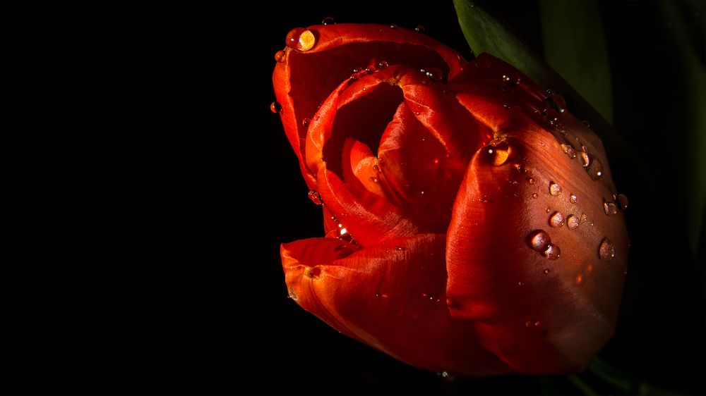 Photograph by Дмитрий