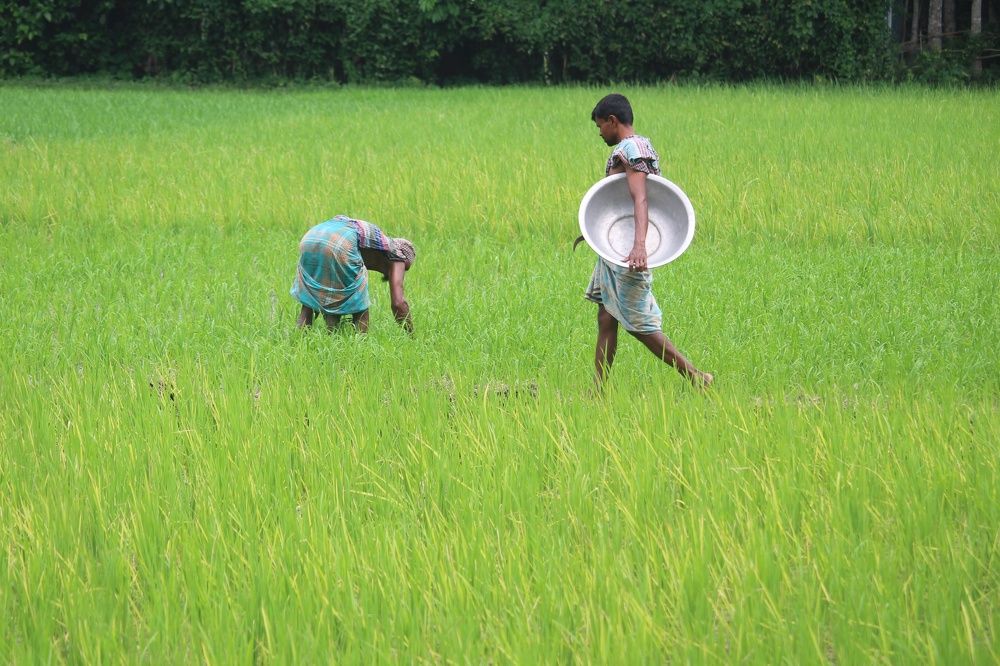 Photograph by Md. Jumen Khan