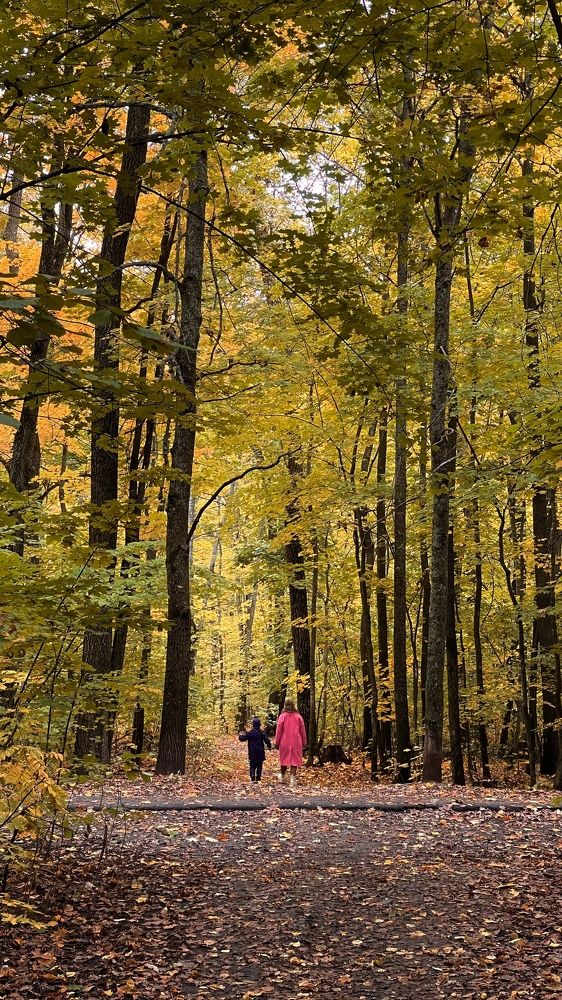 Photograph by Кузмин Дмитрий