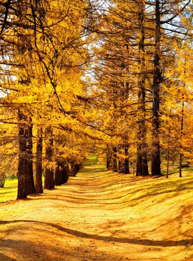 Photograph by Елена Квасова