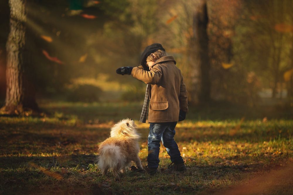 Photograph by Arlauskaite Buloviene Vilma