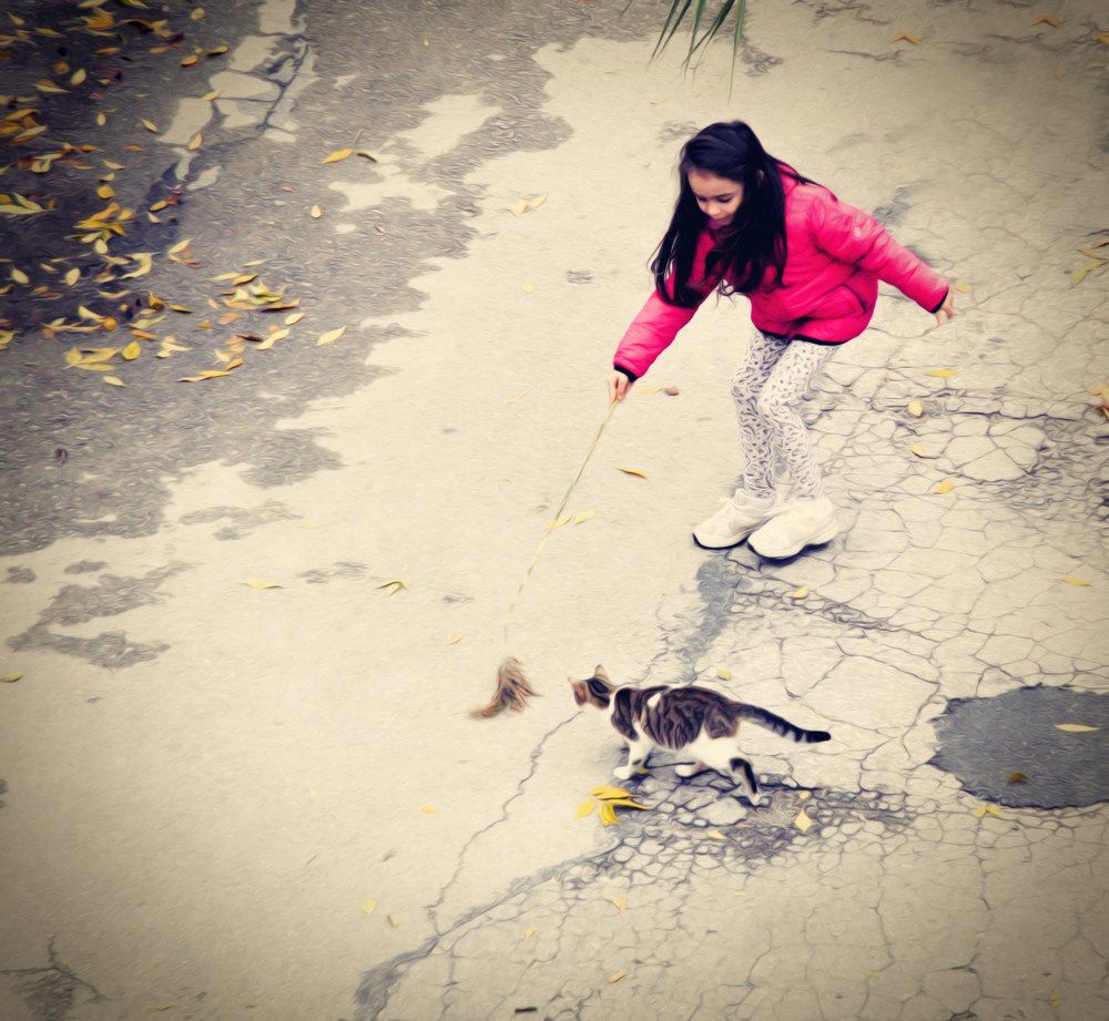 Photograph by Stoyan Baev