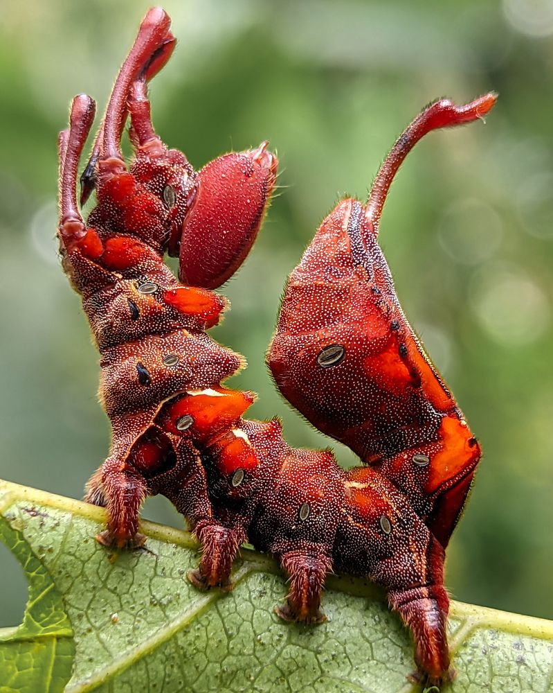 Photograph by Vaishnav K V