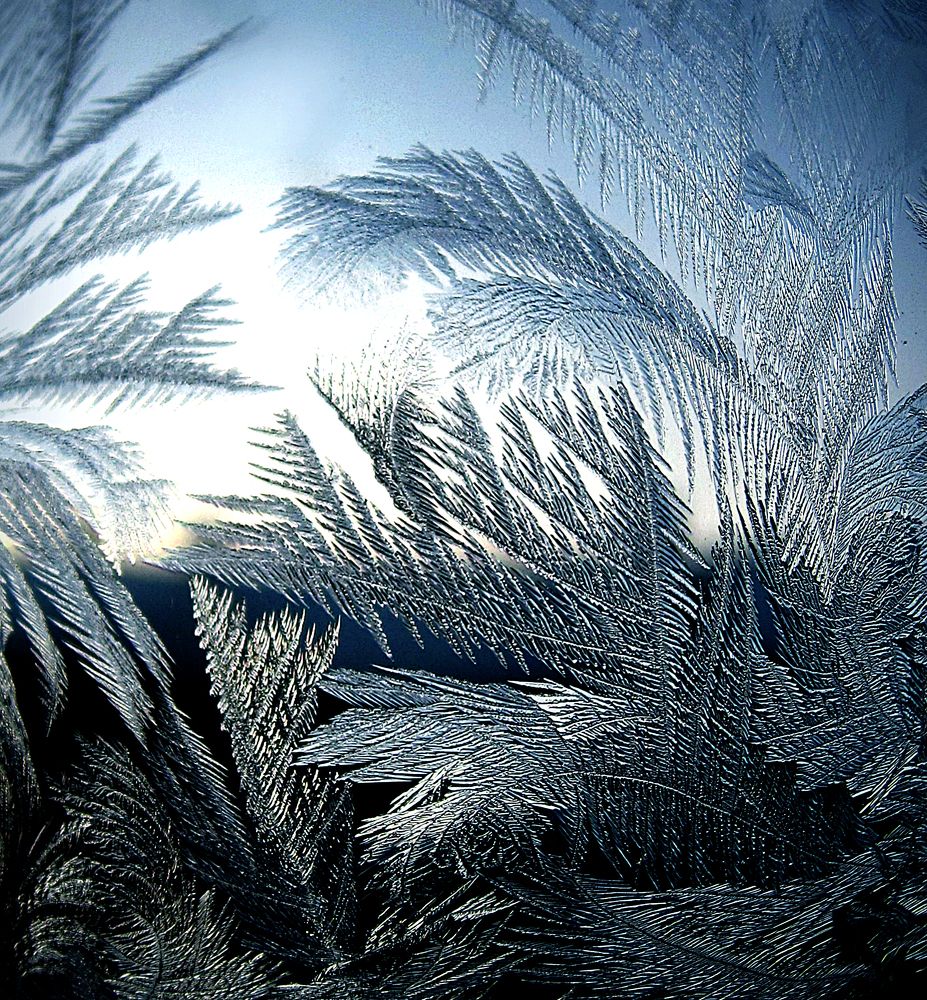 Photograph by Зоя Быкова