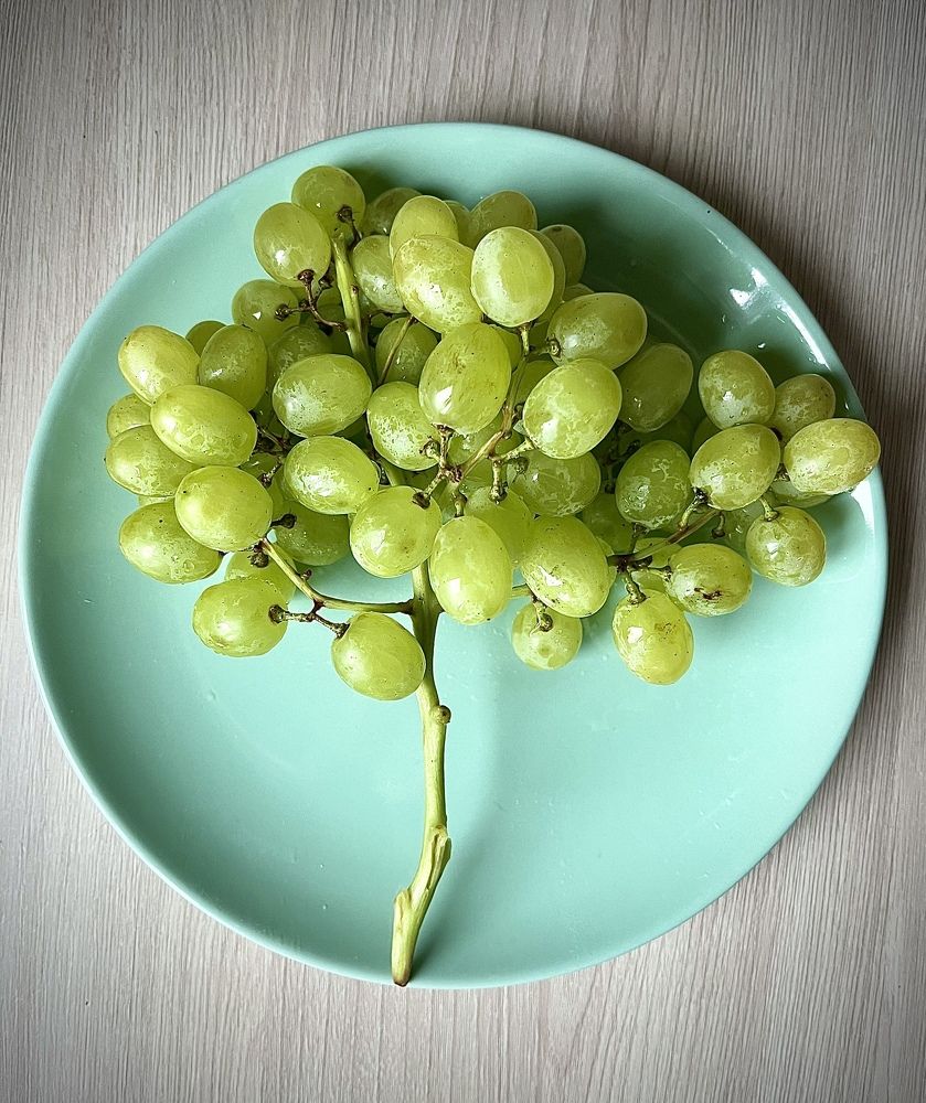 Photograph by Ekaterina Chernyshova