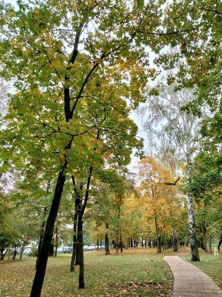 Photo #8122907