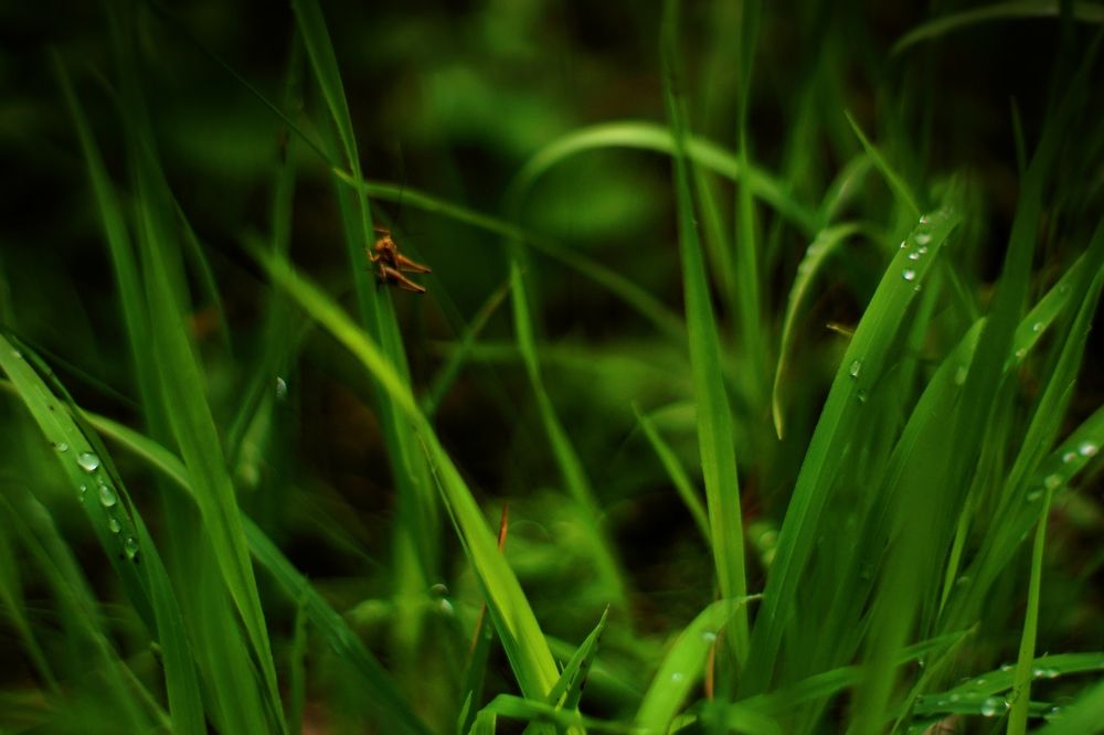 Photograph by Сергей