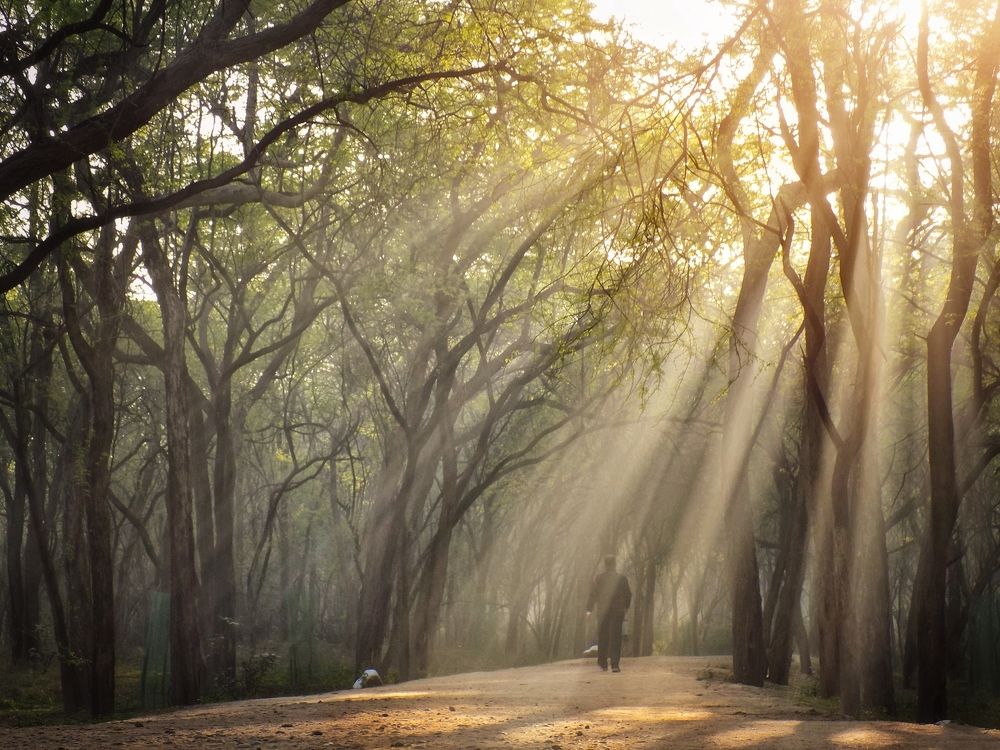 Sunlight of silly thoughts!