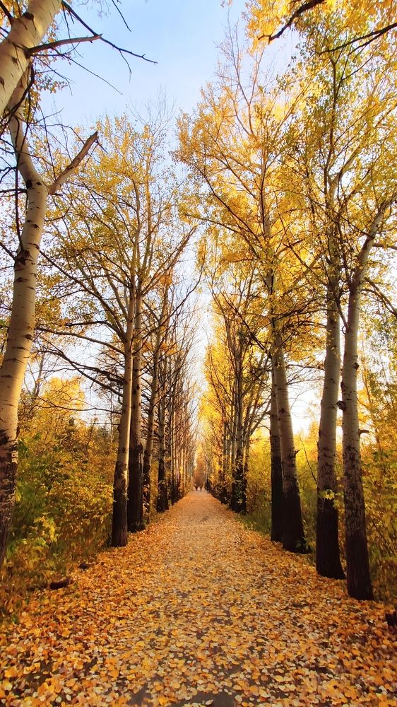 Photograph by Александр Лунин