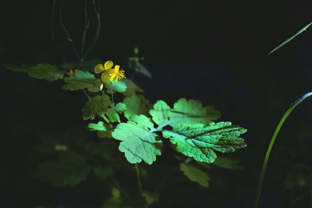 Photograph by Сергей