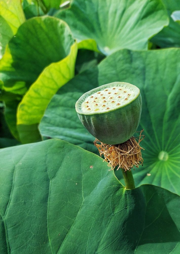 Photograph by Наталья Ткаченко