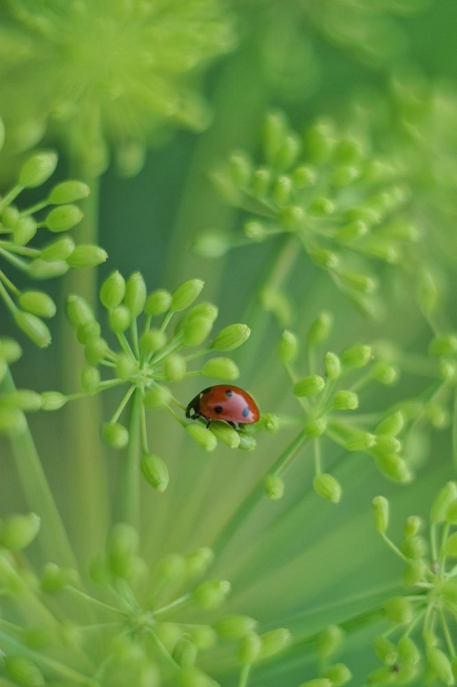 Photograph by Наталья Ткаченко