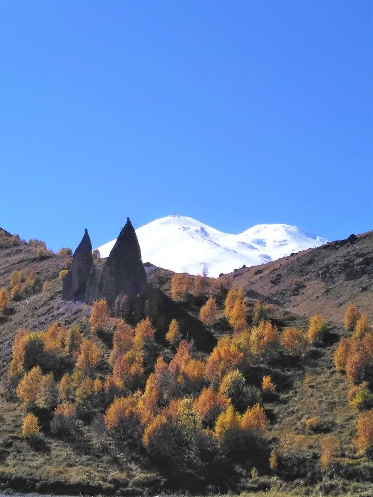 Photograph by SAFRON