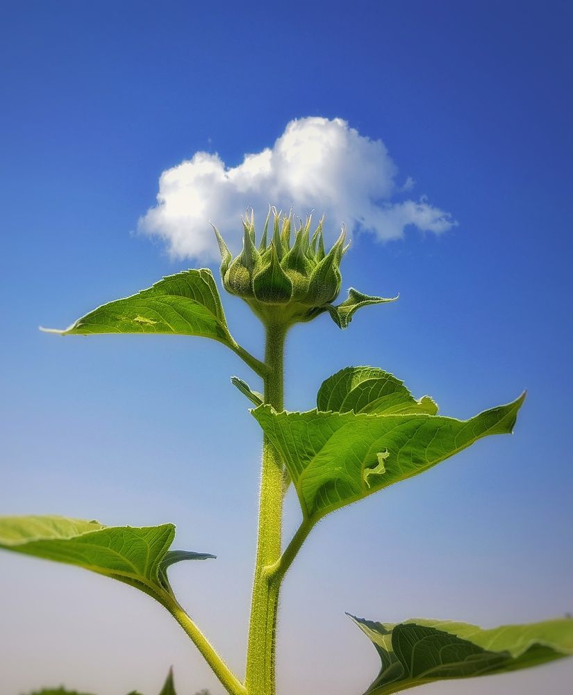 Фотография автора reyhane  khavaninzadeh