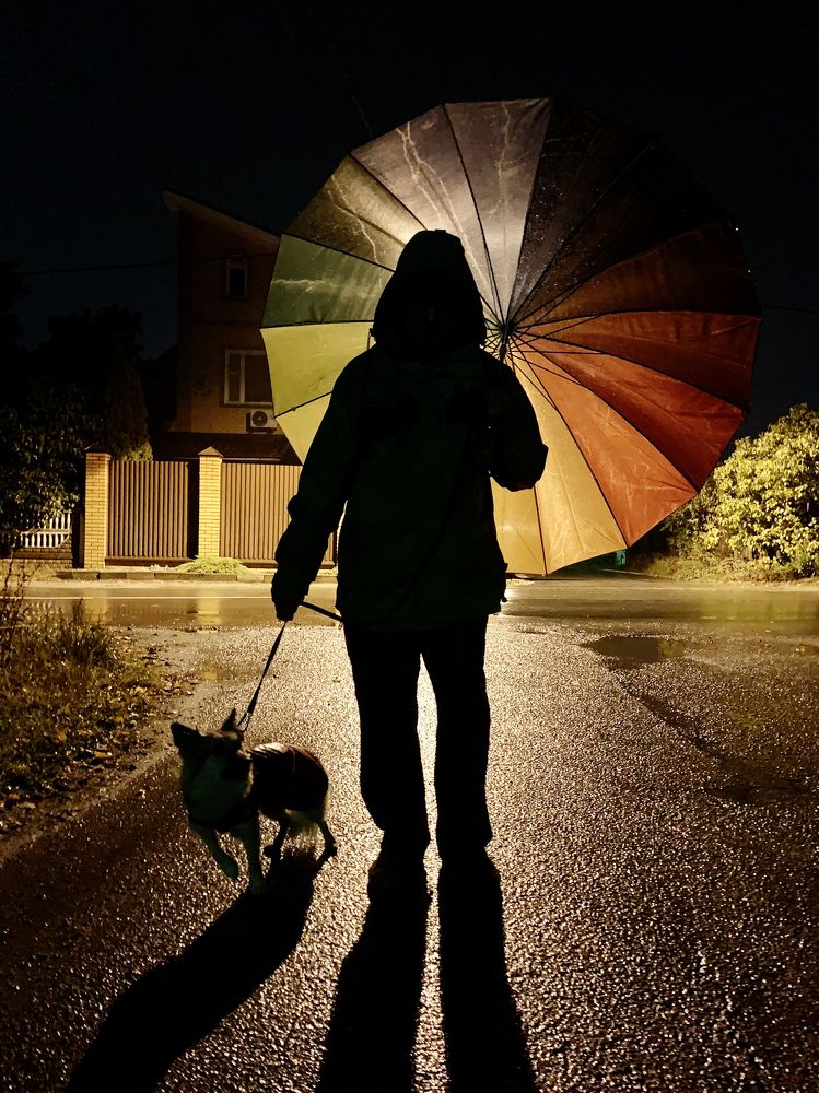 вечерняя прогулка