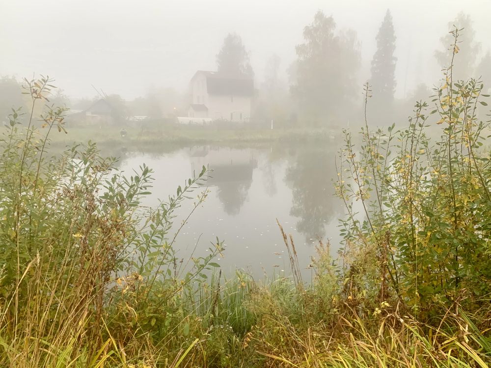 утро туманное