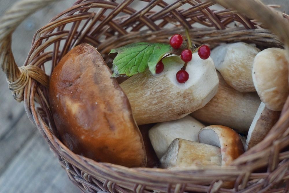 Photograph by Наталья Ткаченко