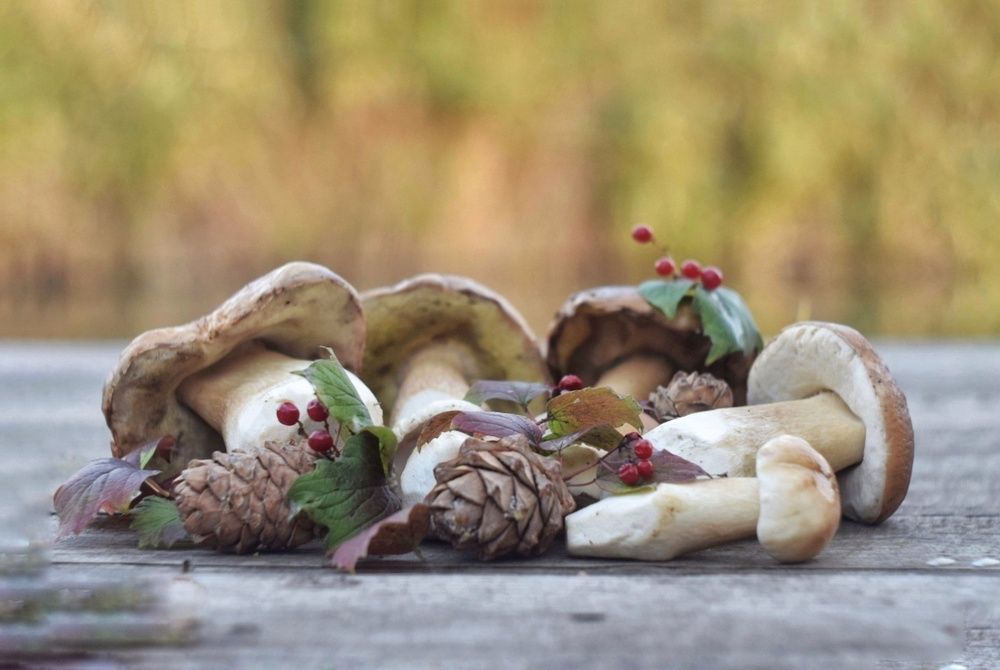 Photograph by Наталья Ткаченко