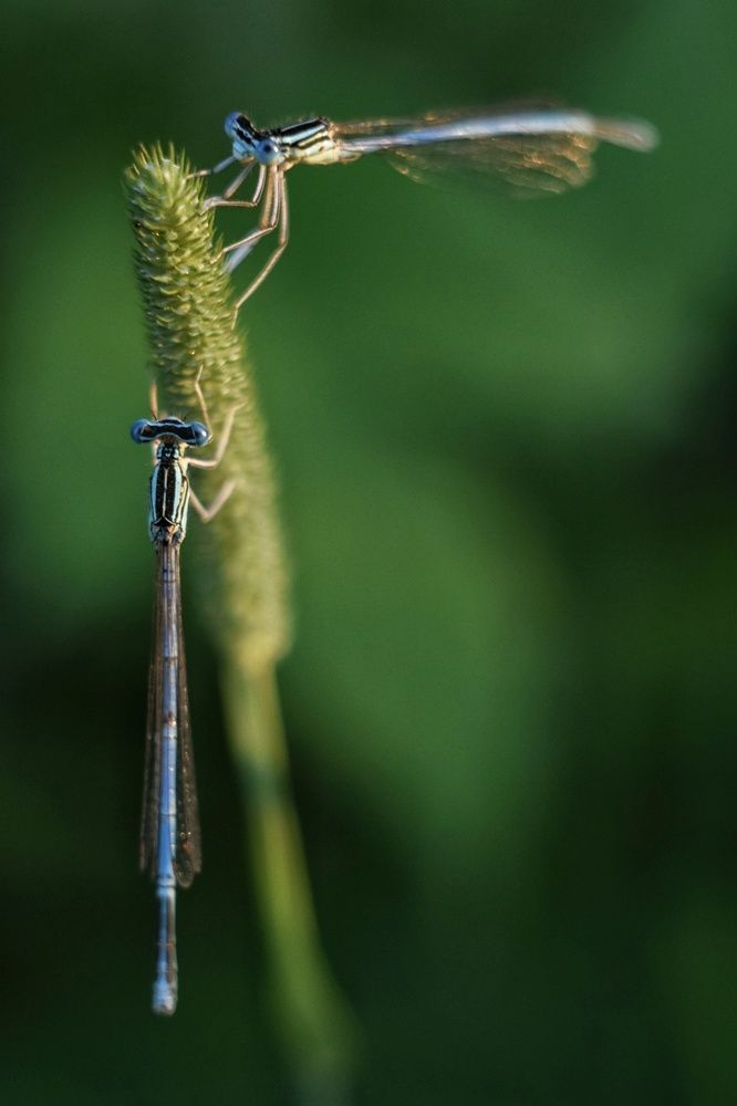 Photograph by Наталья Ткаченко