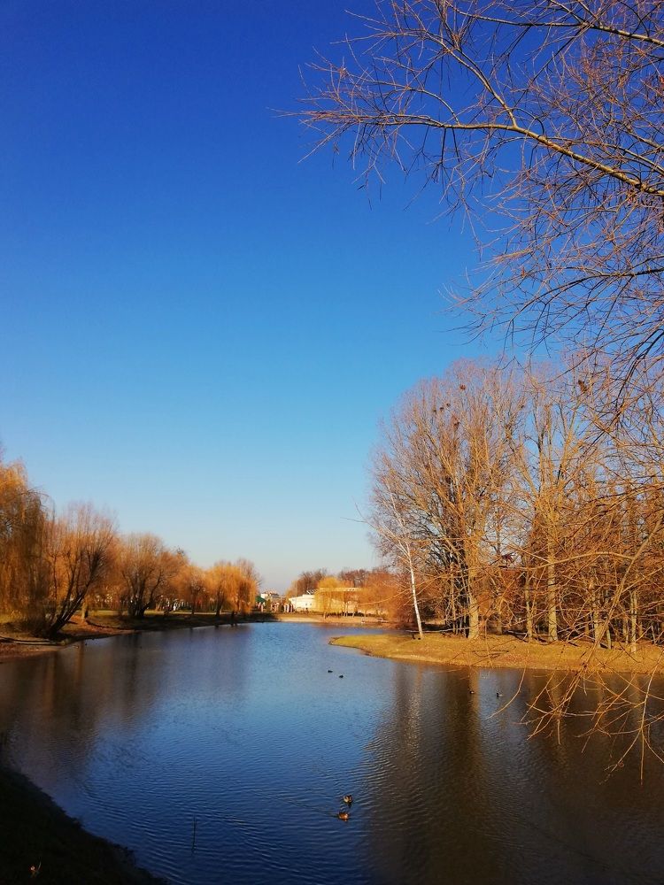 Photograph by Алёна
