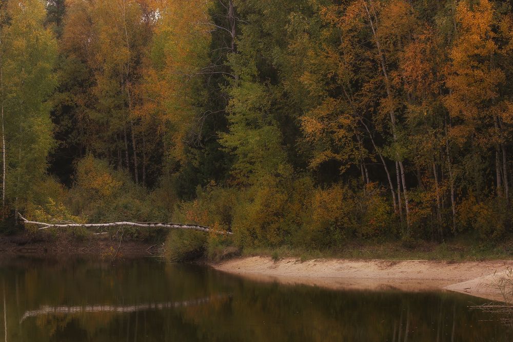 Photograph by Игорь Тихонов