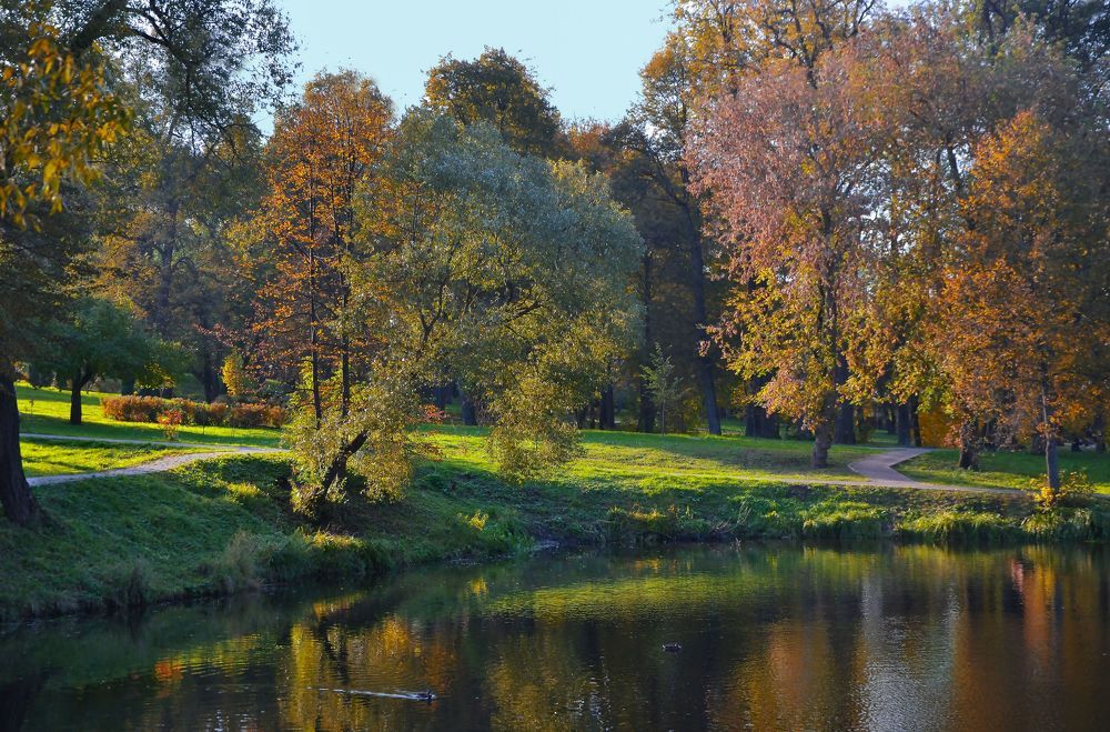 Photograph by Александра Климина