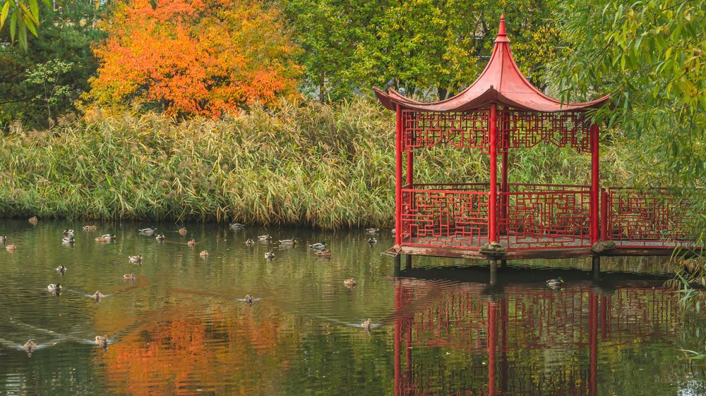 Фотография автора Ендовицкий Владимир