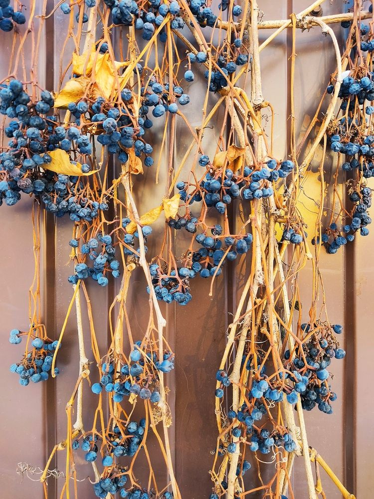 Photograph by Наталья