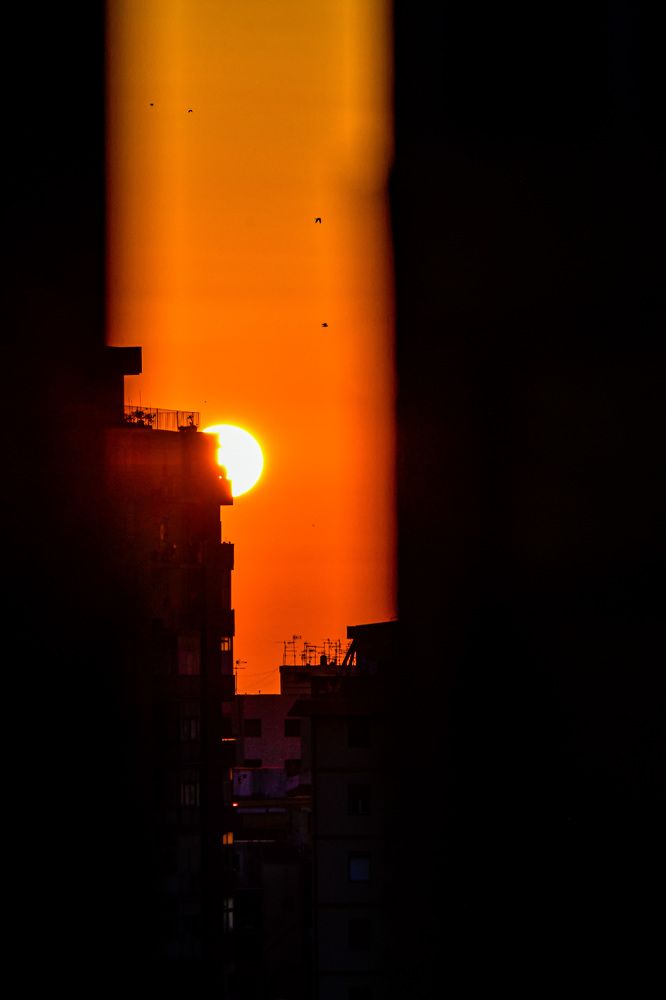 Photograph by Mihail Bacalu