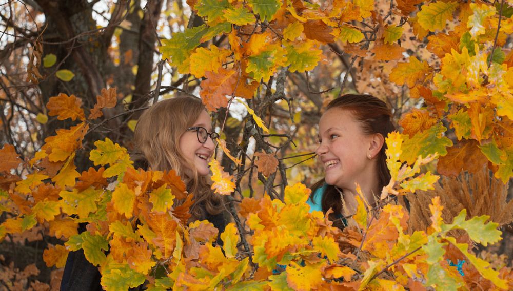 Фотография автора Елена Запертова