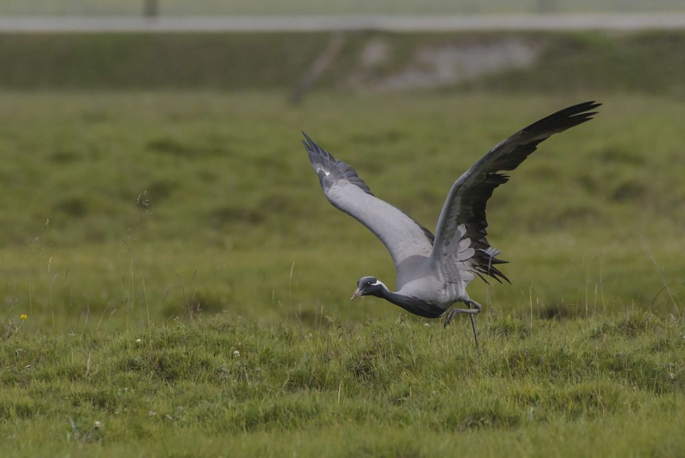 Photograph by Игорь Шабалин