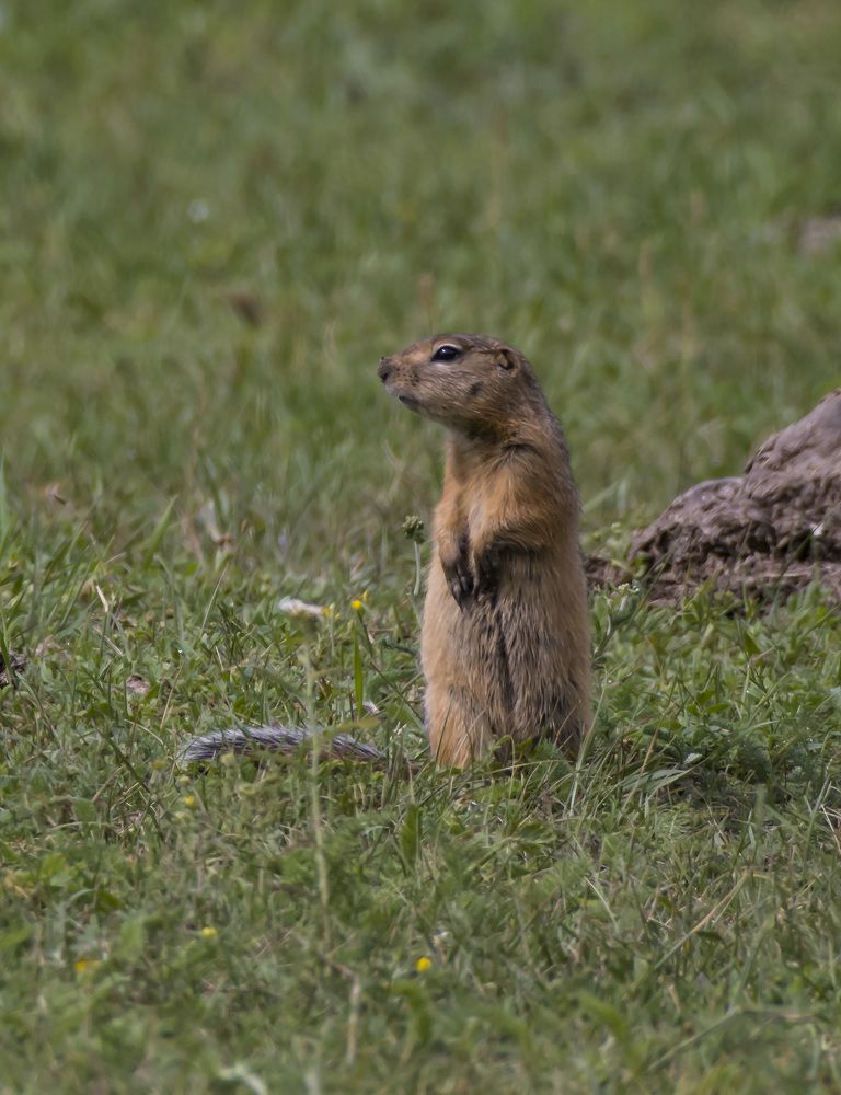 Photograph by Игорь Шабалин