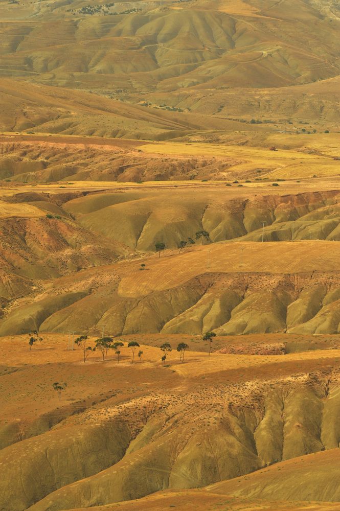 Photograph by Mohamed Kaouche