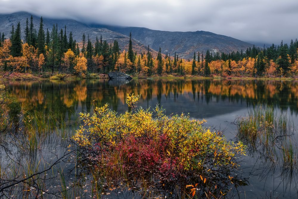 Photograph by Владимир Колесников
