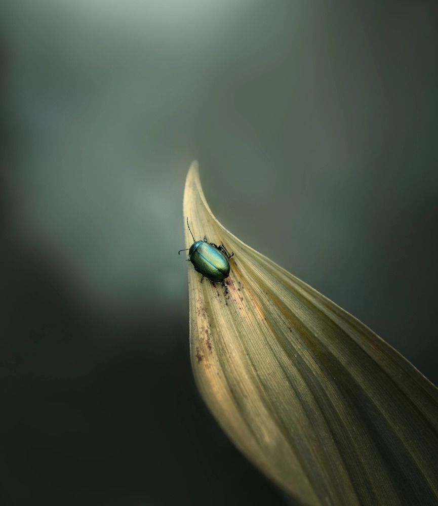 Photograph by Мозжухин Максим