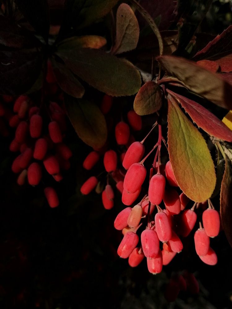 Photograph by Марцева Татьяна